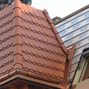 Benátky nad Jizerou (2008)