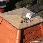 Benátky nad Jizerou (2008)