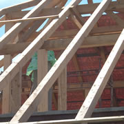 Starý Kolín (2005)